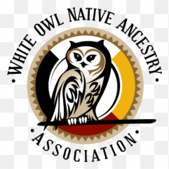 White - White Owl Native Ancestry Association Png,Owl Logo