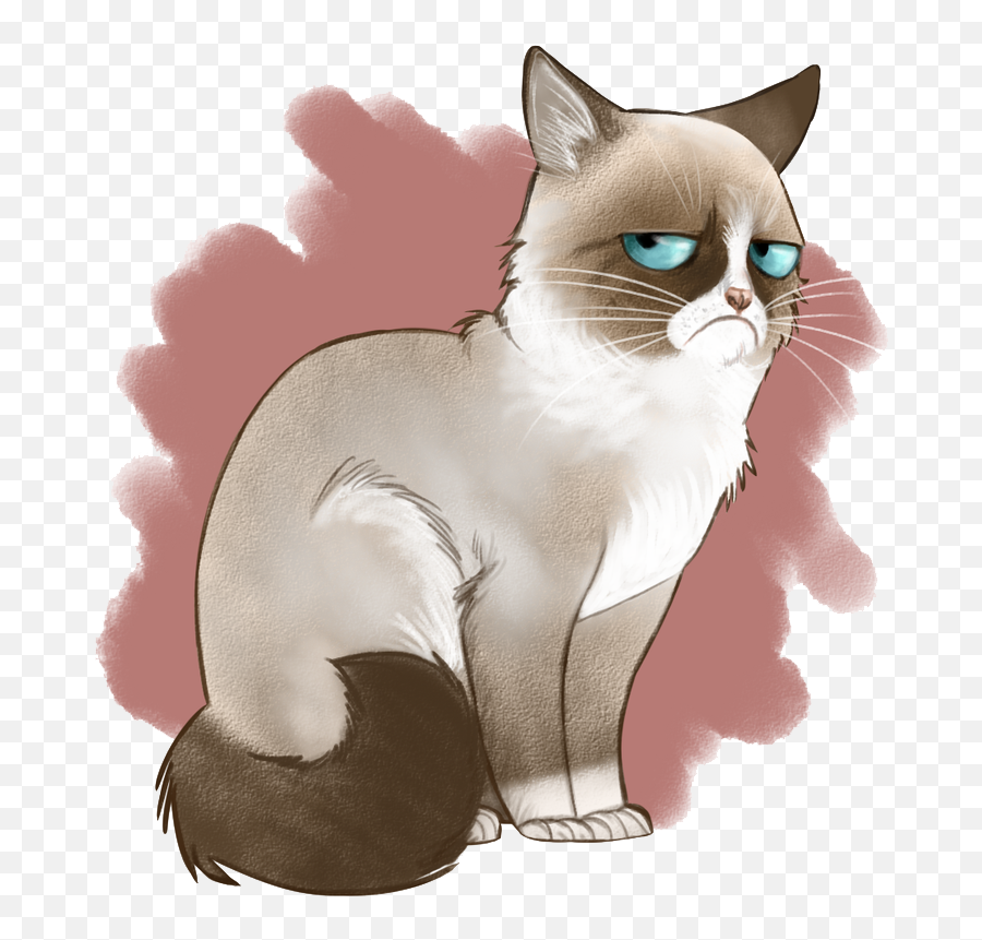 Download Angry Cat Png Image Background - Drawings Of Grumpy Cat,Angry Cat Png