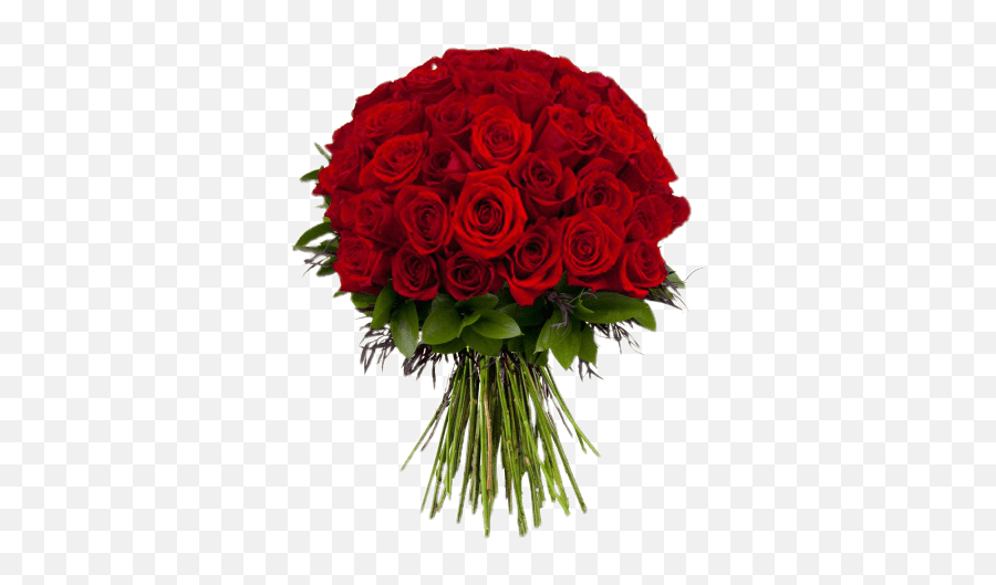 Bouquet Roses Png Images Free Transparent U2013 - Red Rose Fresh Flower,Bouquet Of Roses Png