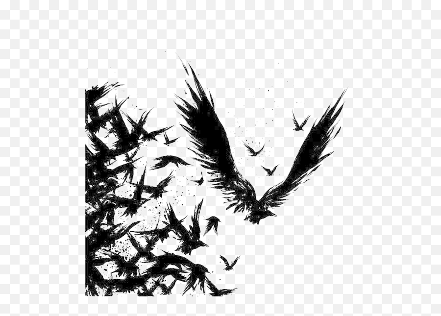 Download Tattoo Crow Common Odin Drawing Raven Clipart Png - Raven In Flight Drawing,Raven Transparent Background