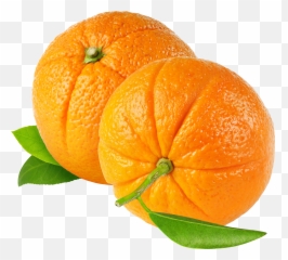 Mandarin Png Citrus