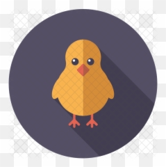 Baby Chicken Icon - Soft Png,Baby Chick Png