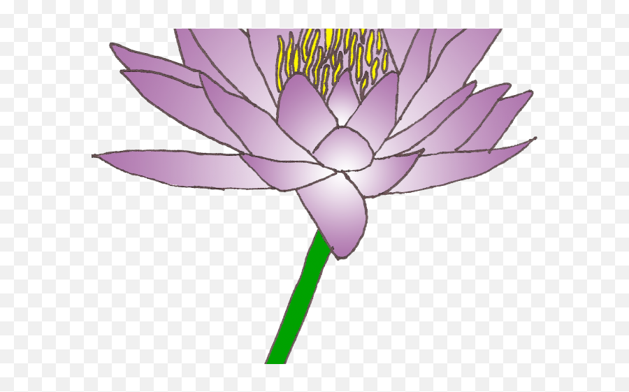 Download Water Lily Clipart Pad - Clip Art Png,Lily Pad Png