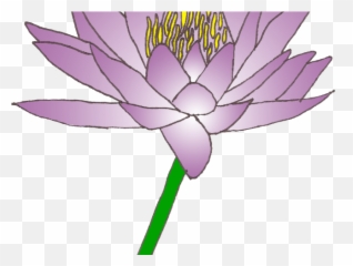 Download Water Lily Clipart Pad - Clip Art Png,Lily Pad Png