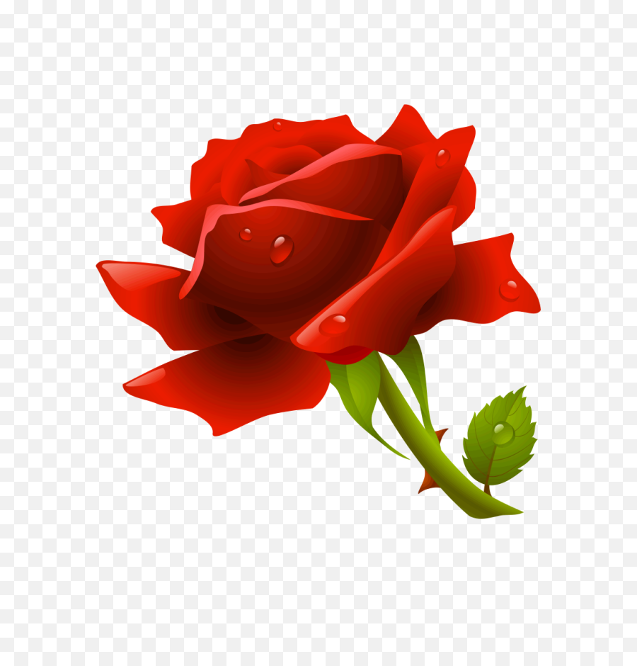 Hd Red Rose Png Image Free Download - Red Rose Icon,Rose Png Hd
