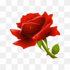 Hd Red Rose Png Image Free Download - Icon
