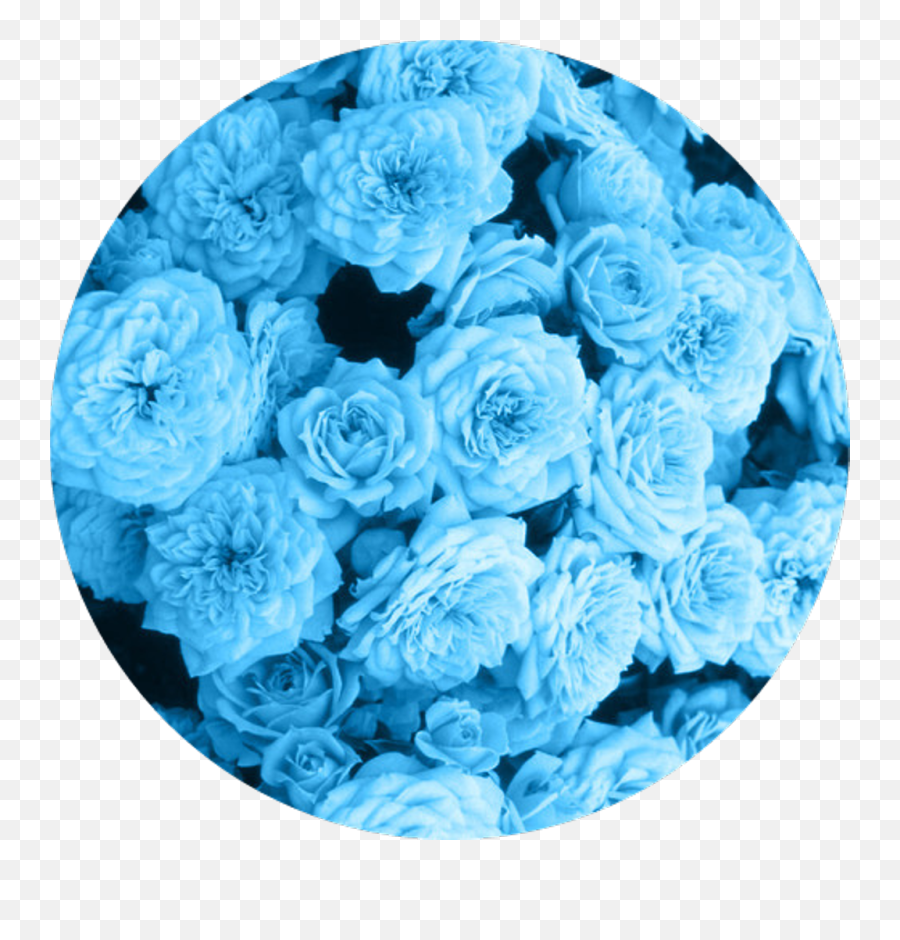 Bambi Blue Tumblr Flower Babyblue Sticker By Mochibaozi - Flower Icon Aesthetic Blue Png,Tumblr Flowers Transparent