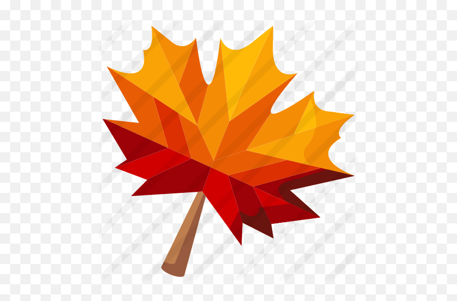 Maple Leaf - Victoria Day Png,Red Maple Leaf Icon