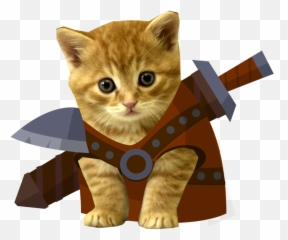Cute Kittens Png Images Transparent
