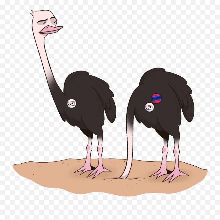 Ocsa Evolution - Common Ostrich Png,Icon 1000 Retrograde