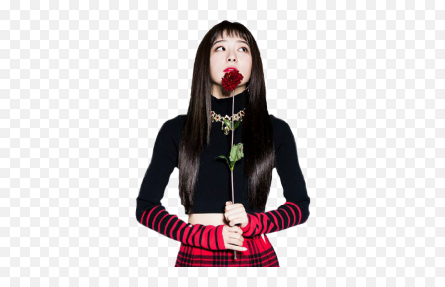 Download Free Png Seulgi Tumblr - Dlpngcom Transparent Seulgi Red Velvet Png,Seulgi Icon