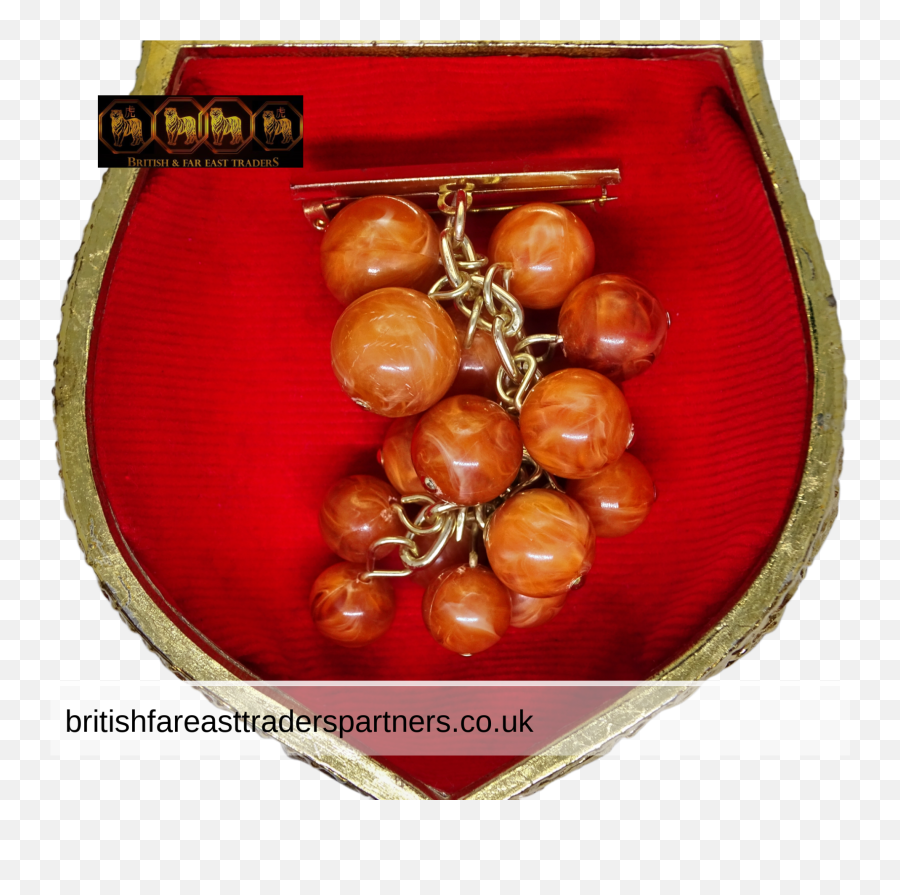 Vintage U201ccute Bunch Of Grapesu201d Lucite Brooch British U0026 Far - Solid Png,Adelaide Kane Christmas Icon