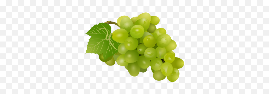 Grapes Clipart Angoor - Fruit Png Images Hd,Grapes Png