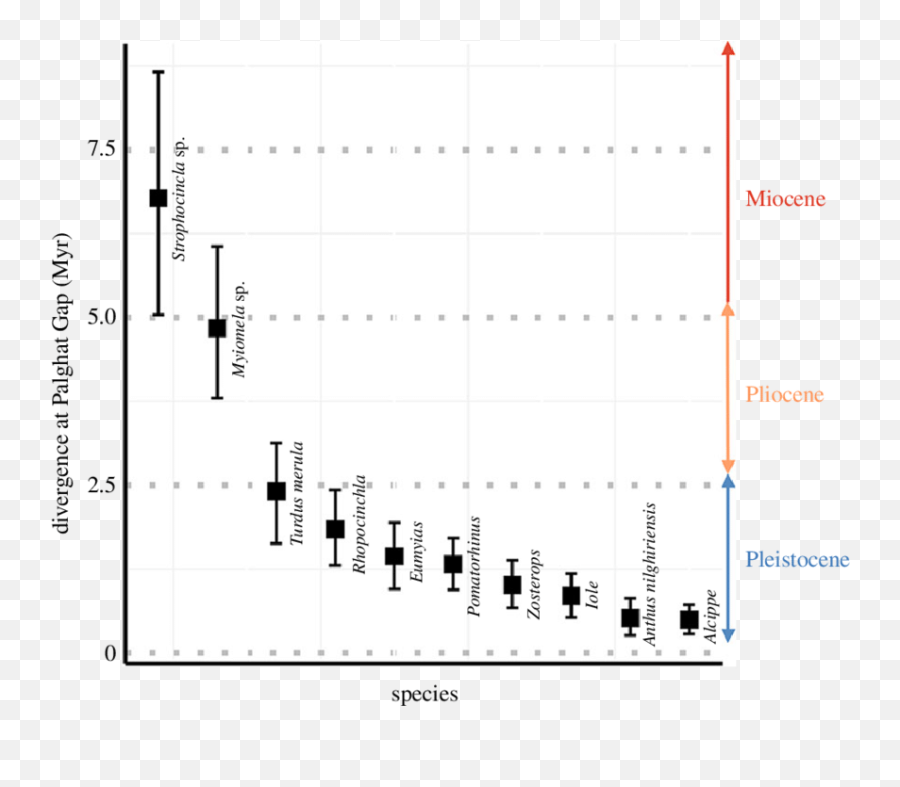 Molecular Divergence Time Estimates Tmrca - In Myr Hpd At Diagram Png,Rule Of Thirds Grid Png