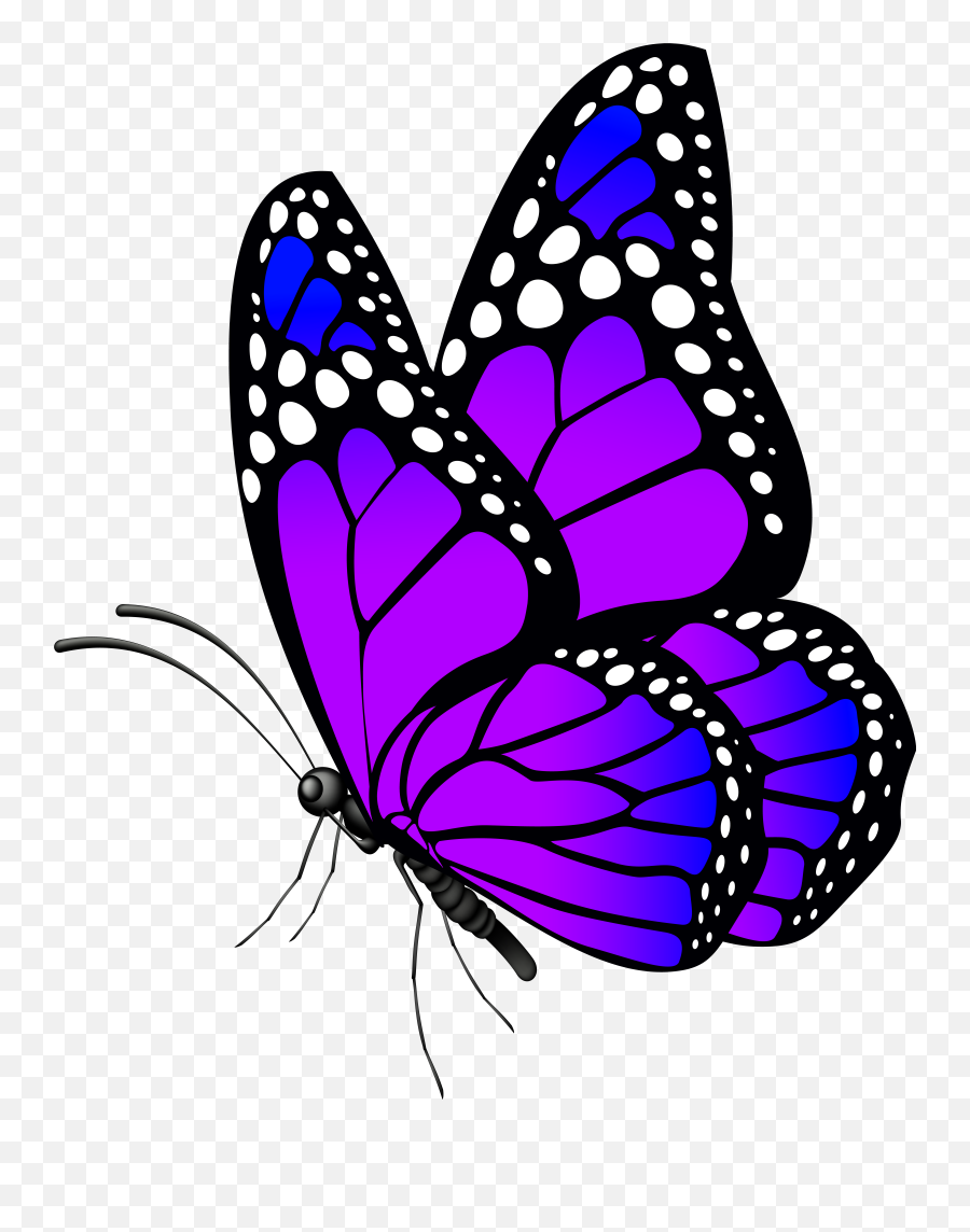Monarch Butterfly Clipart Transparent Png