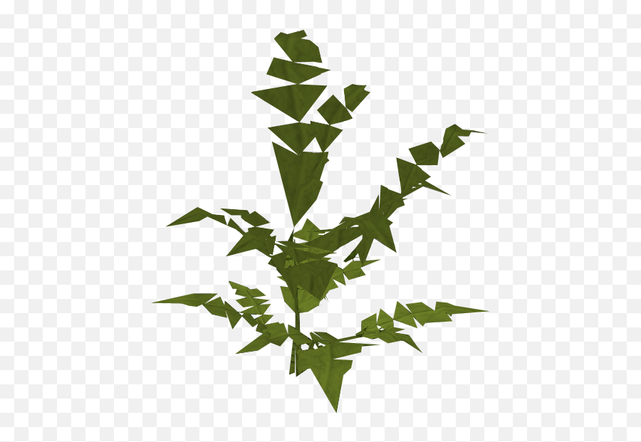 Fern Big Plant - The Runescape Wiki American Holly Png,Fern Png