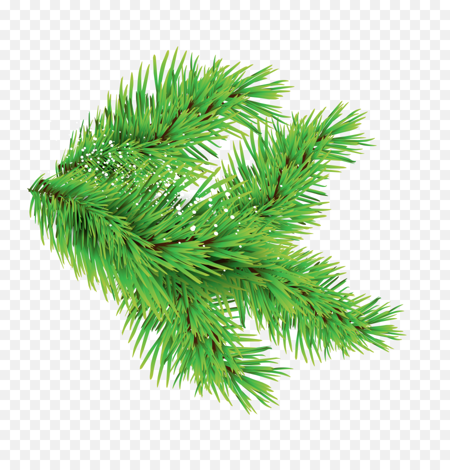 Christmas Trees Leaves Png Images With Different Sizes Only - Christmas Tree Leaves Png,Leaf Png Transparent