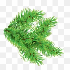 Christmas Trees Leaves Png Images With Different Sizes Only - Tree Leaves Png