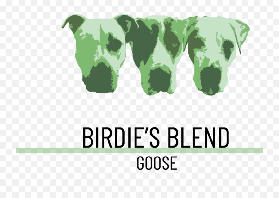 Birdieu0027s Blend Goose U2014 Bone Broth For Pets - Great Dane Png,Goose Png