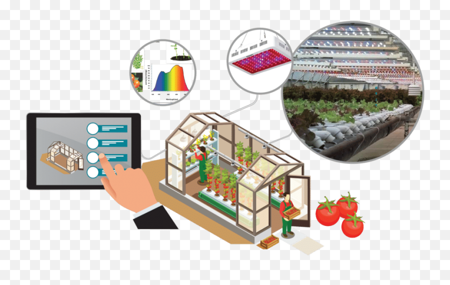 Download Smart Greenhouse Lighting - Smart Greenhouse Png,Greenhouse Png