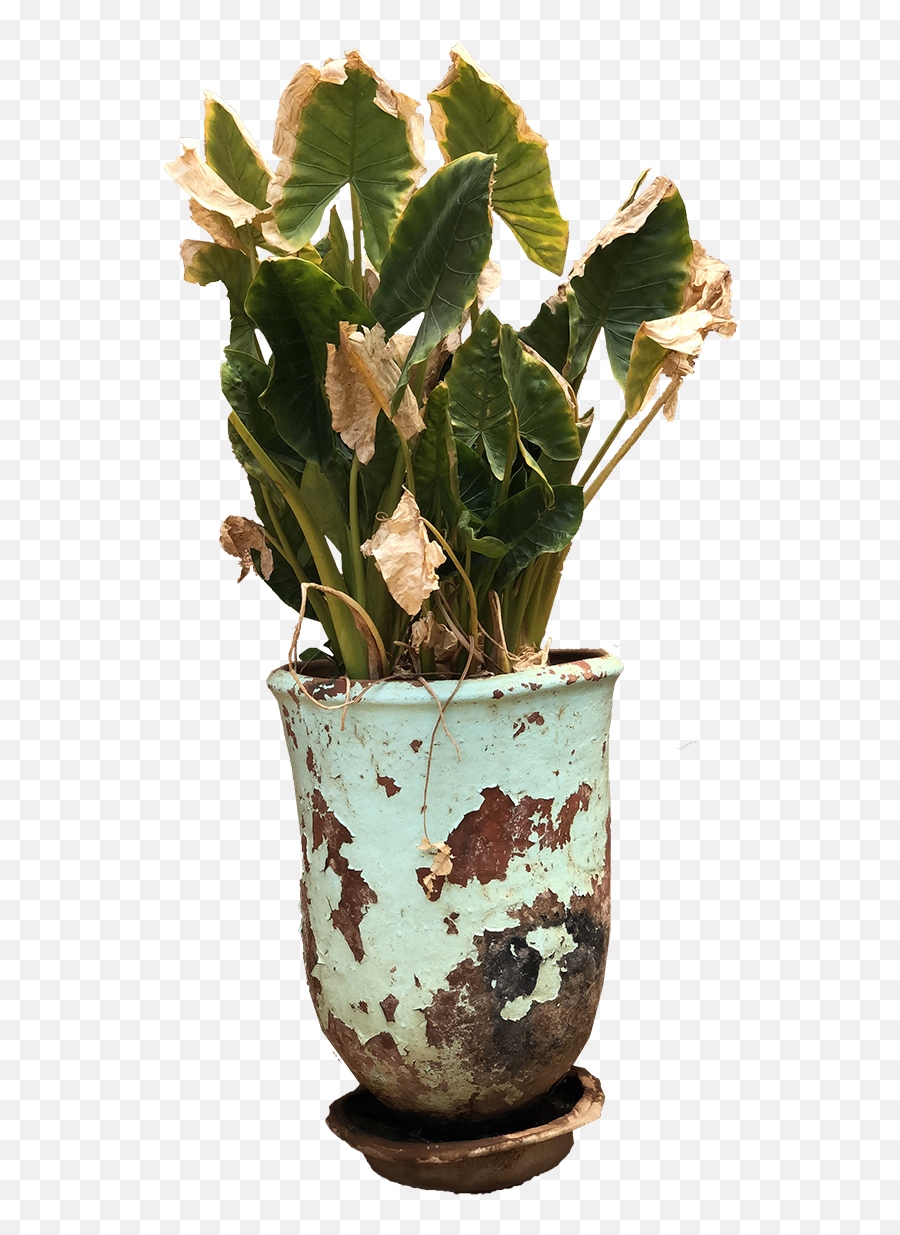 Decorative Exterior Old Plant Pot - Old Flower Pot Png,Flower Pot Png