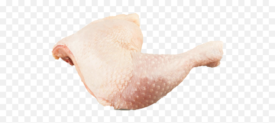 Download Chickenlegquarter - Chicken Leg Quarters Png Image Sea Snail,Quarter Png