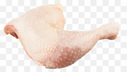 Download Chickenlegquarter - Chicken Leg Quarters Png Image Sea Snail,Quarter Png