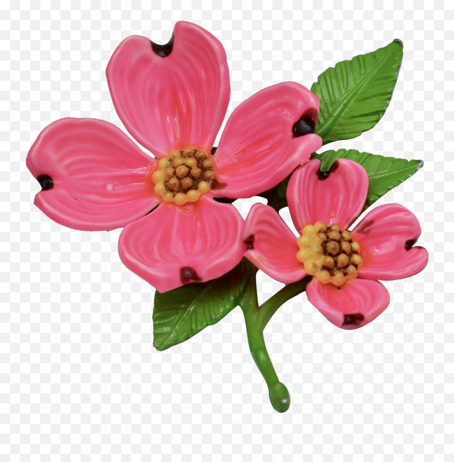 Download Bright Pink Enamel Dogwood - Pink Dogwood Flower Png,Dogwood Png
