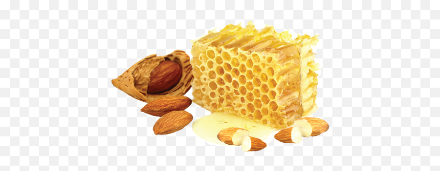 Honey Png - Honey And Almond Png,Honey Comb Png