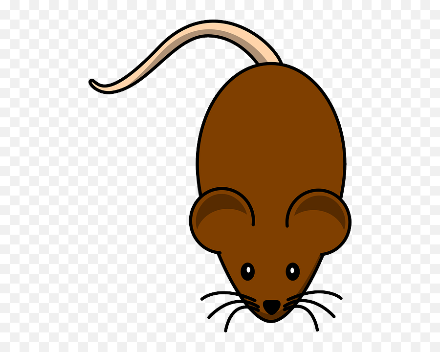 Brown Rat Svg Free Download Png Files - Mouse Clip Art,Rat Transparent