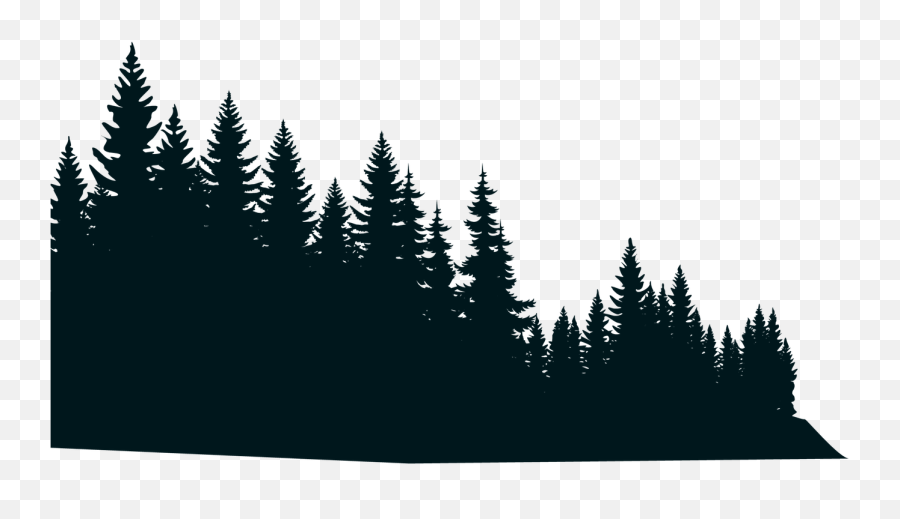 Forest Communications - Ottawa Graphic Design Video Web Forest Designs Png,Pine Trees Silhouette Png