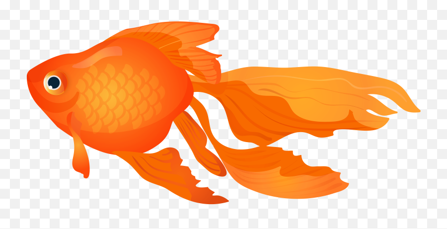 Goldfish Transparent Png Images - Transparent Background Goldfish Clipart,Goldfish Transparent