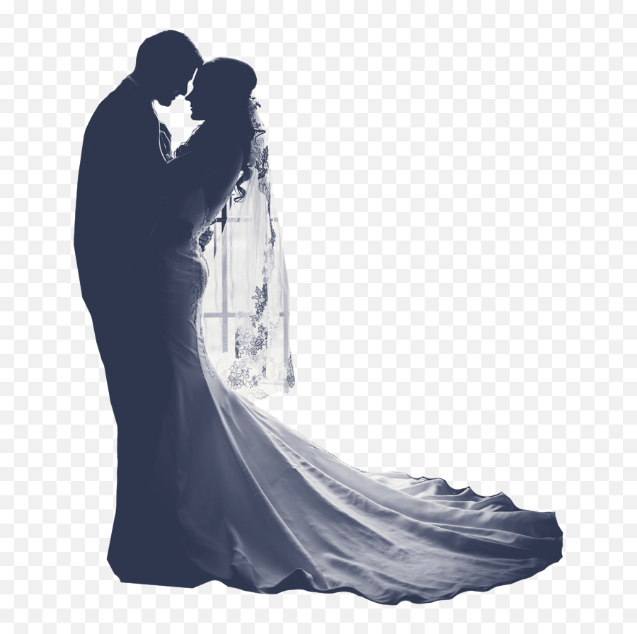 Wedding Veil - Transparent Bride And Groom Png,Wedding Veil Png