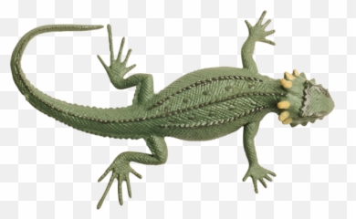 Lizard Transparent Png Image Web Icons - Lizard Png,Lizard Transparent