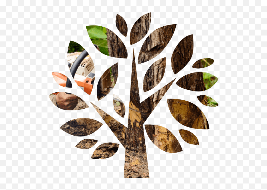 Ottawau0027s Tree Removal U0026 Pruning Experts Wright Service Png Great Value Icon
