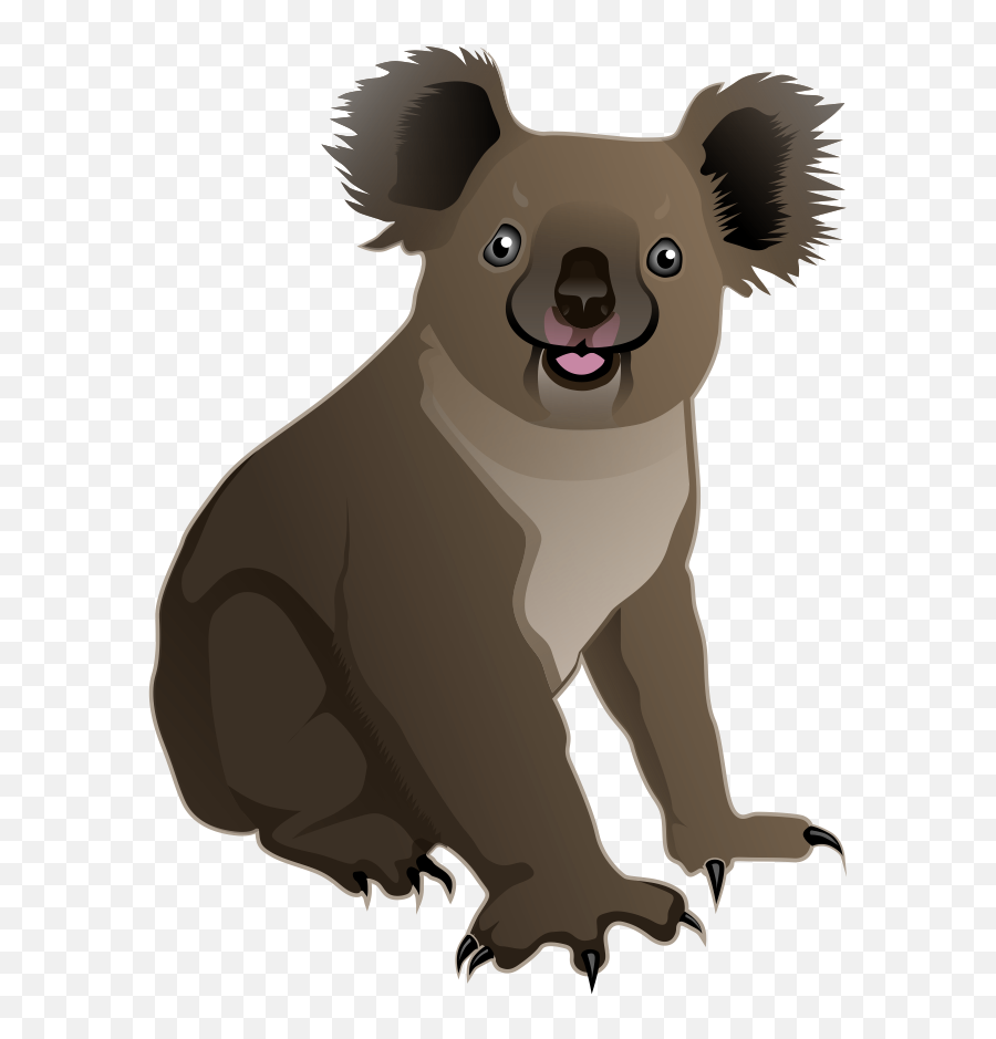Koala Clipart Animated Transparent Free For - Transparent Background Koala Clipart Png,K Png