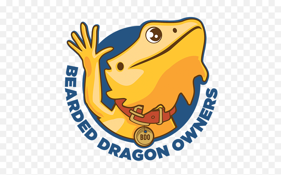 5 Places To Find Cute Bearded Dragons For Dragon Owners - Wood Frog Png,Cute Dragon Icon
