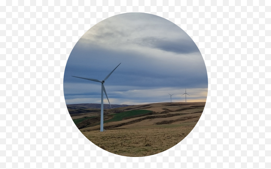 Wind Generation Turitea Farm Renewable Mercury - Land Png,Wind Farm Icon