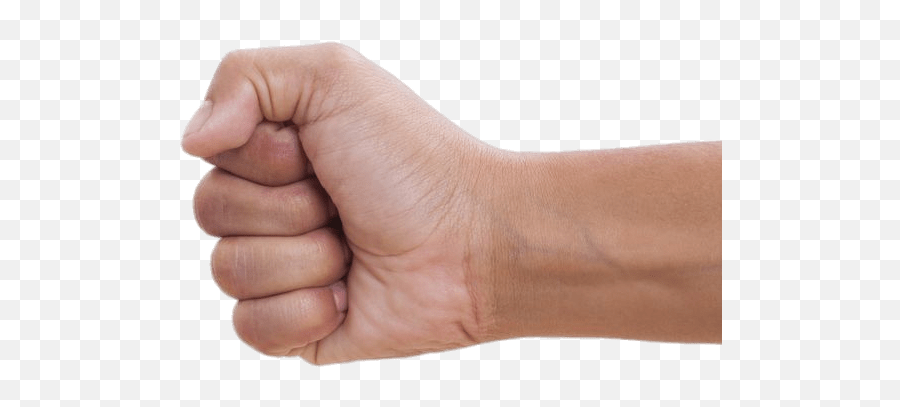 Clenched Fist To The Left Transparent - Male Fist Png,Fist Png