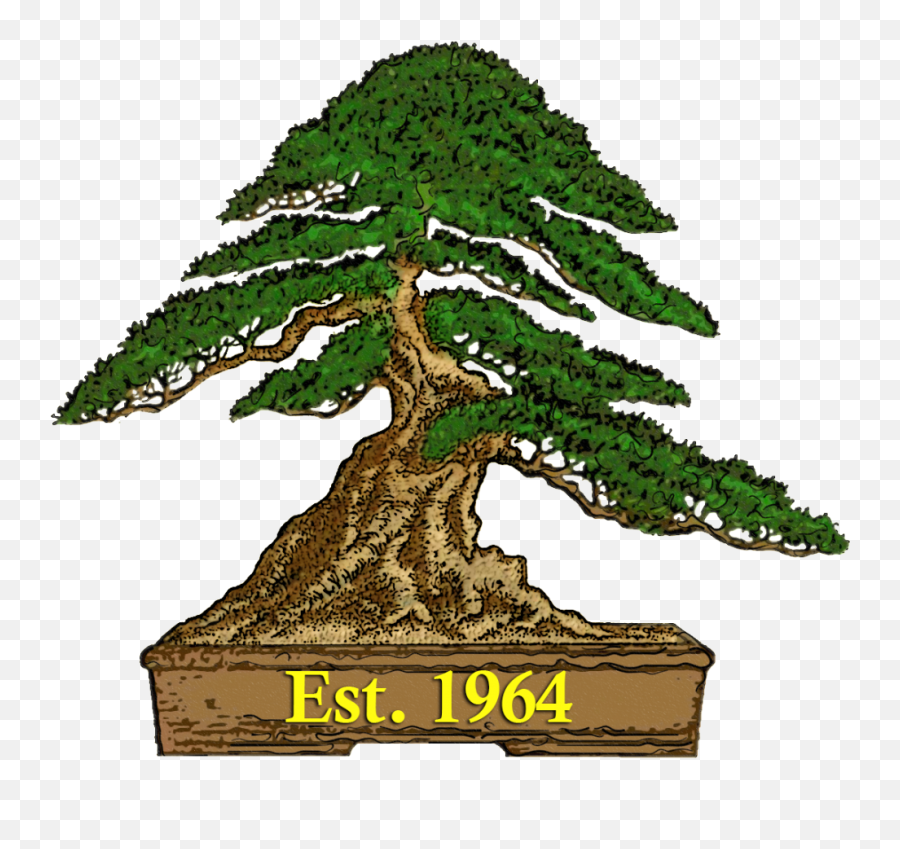 Autumn 2016 South Australian Bonsai Society - Sa Bonsai Society Logo Png,Adelaide Kane Christmas Icon