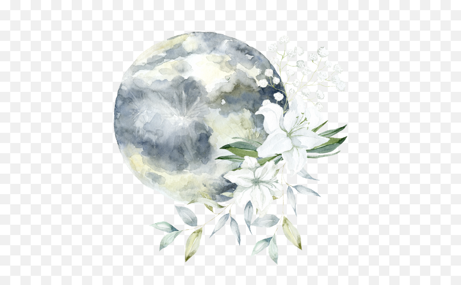 Contact U2014 Rebecca Lucy - Full Moon Png,Lucy Icon