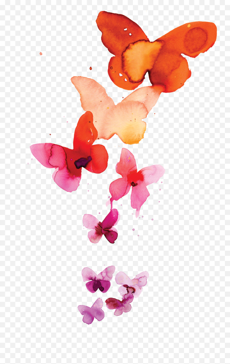 Download Coral Butterflies - Watercolor Images Free Butterfly Png,Butterfly Tattoo Png