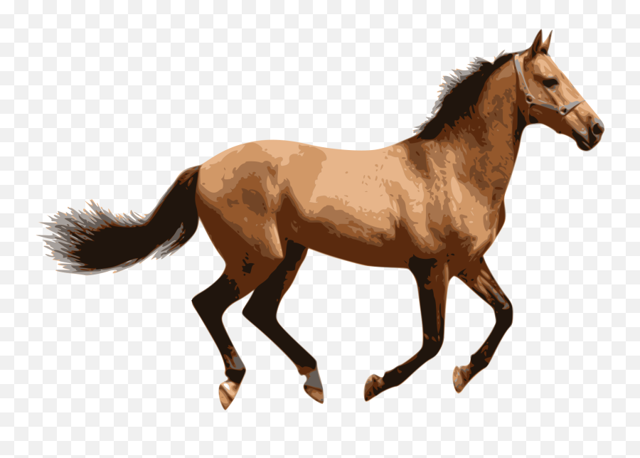 Caballo Png 5 Image - Horse Png,Caballo Png