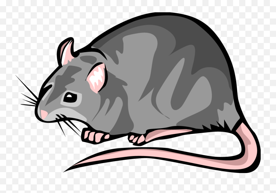 Rat Clipart Png Download Free Clip Art - Rat Clipart,Rats Png