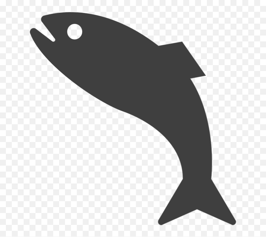 Fish Silhouette Isolated - Free Vector Graphic On Pixabay Fish Black And White Clipart Jumping Png,Fish Outline Png