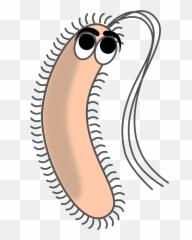 Bacteriafilamentsgermpathogenecell - Free Image From Bacteria Cartoon Png,Bacteria Transparent Background