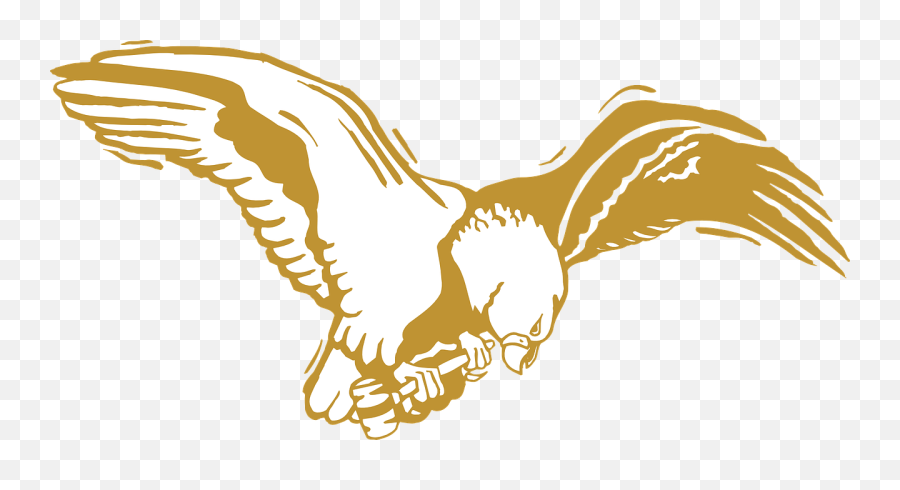 Gold Eagle Outline Clip Art - Workforce Investment Act Of 1998 Png,Golden Eagle Png