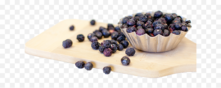 For - Thego Ease Organic Freezedried Fruit Homegrown Freeze Dried Fruit Png,Blueberries Png