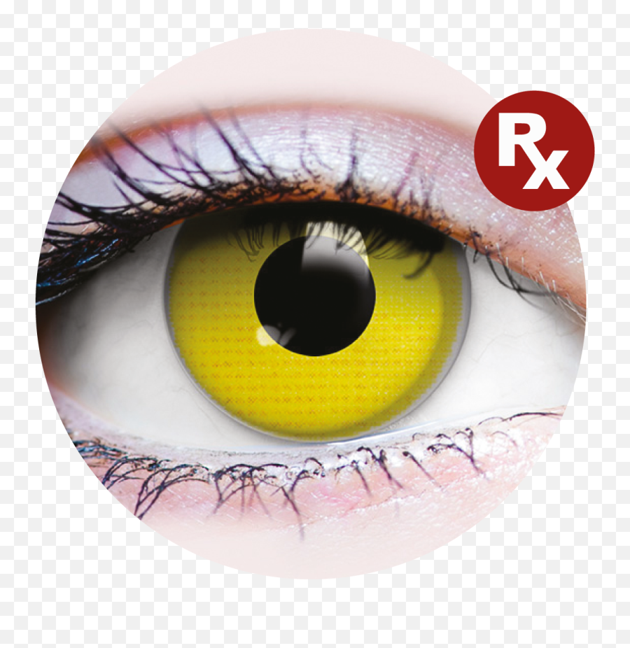 Primal Rx Raven - Contact Lens Png,Jennifer Lawrence Png