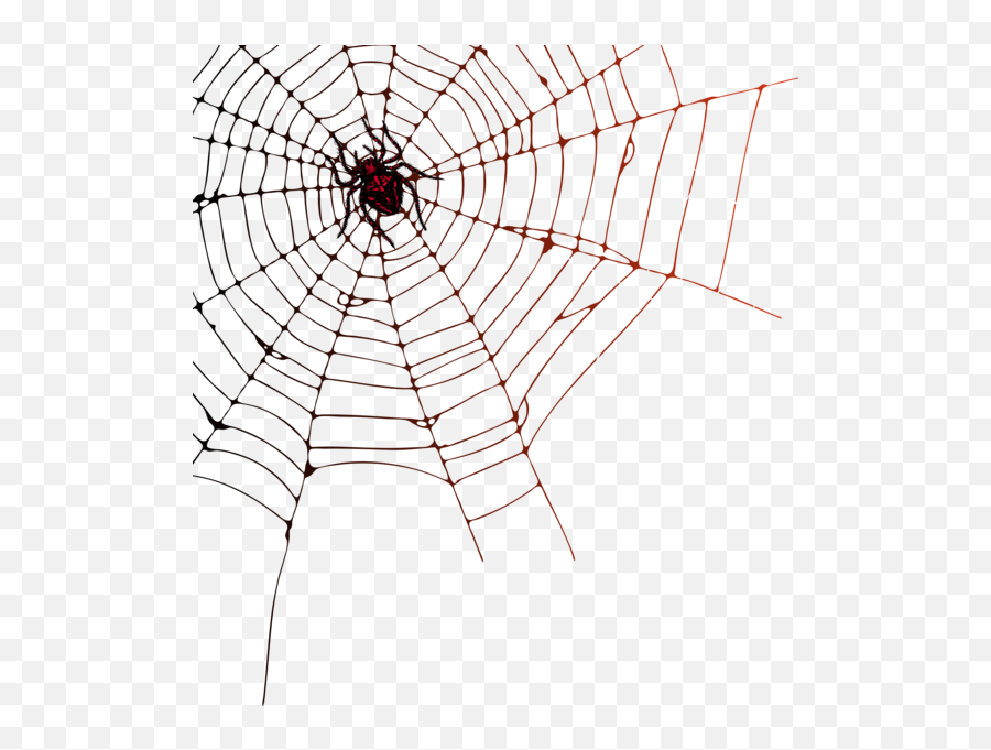Spider Web Png Transparent Background - Spider Web Png,Spider Transparent Background